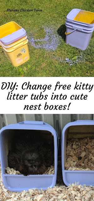 DIY: transform plastic kitty litter tubs into cute nest boxes with just a few steps. Easy to follow tutorial. #chickens #backyardchickens #homesteading #chickencoopideas Bunny Nesting Box Diy, Indoor Chicken, Nesting Boxes For Rabbits, Cat Litter Box Chicken Coop, Diy Rabbit Nesting Box Ideas, Rabbit Nesting Boxes, Cat Litter Nesting Boxes For Chickens, Rabbit Nesting Box Diy, Easy Nesting Boxes For Chickens