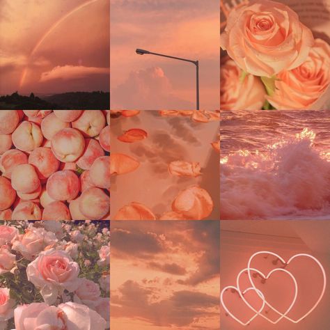 Orange Moodboard, Branding Mood Board Inspiration, Aesthetic Peach, Cut Flower Farm, Make Your Own Character, Peach Aesthetic, Flower Theme, Branding Mood Board, Orange Aesthetic