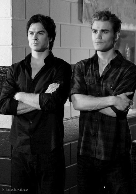 Salva Bros. Stephan And Damon, Paul Wesley Vampire Diaries, Damon And Stefan Salvatore, Arielle Kebbel, Salvatore Brothers, The Salvatore Brothers, Ian Joseph Somerhalder, Ian Somerhalder Vampire Diaries, Vampire Diaries Poster