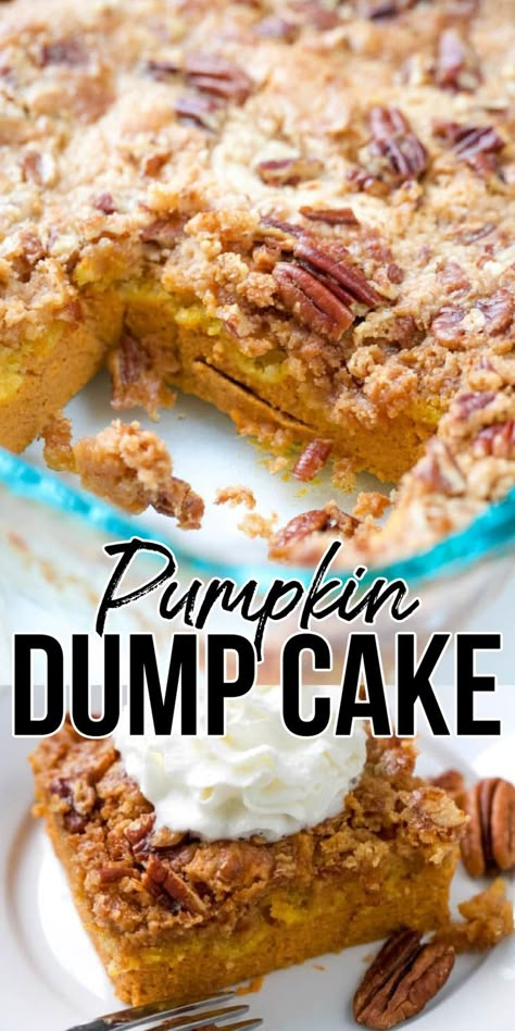 pumpkin dump cake on a plate Easy Pumpkin Dump Cake Recipe, Crunchy Cake, Easy Pumpkin Dump Cake, Pumpkin Dump Cake Recipe, Canned Pumpkin Recipes, Pumpkin Cobbler, Pumpkin Dump, Dump And Bake, Easy Pumpkin Dessert