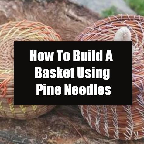 How To Build A Basket Using Pine Needles Diy Pine Needle Baskets, Pine Needle Baskets How To Make, Pine Needle Weaving, Fiber Studio, Pine Needle Crafts, Pine Needle Baskets, Leaf Crafts, Diy Basket, Wood Sticks