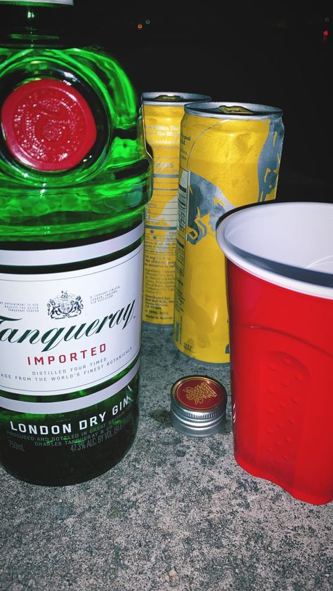 Gin Story, Gin Tanqueray, Snap Fake, Tanqueray Gin, Gin Drinks, Alcohol Aesthetic, Fake Story, Coffee Cans, Liquor