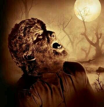 Wolfman Villian Songs, The Wolf Man 1941, Wolf Man 1941, Hollywood Monsters, Pure Of Heart, Classic Monster Movies, Universal Studios Monsters, The Wolf Man, Claude Rains