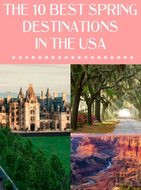 Top 10 Spring Destinations In The U.S. - The Best USA Travel Destinations - JetsetChristina Spring Travel Destinations, Places In Usa, Spring Hiking, Spring Travel, Glamping Site, Most Romantic Places, Girls Getaway, Where To Travel, Spring Trip