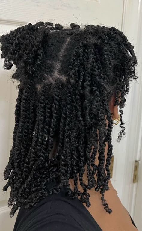 Mini Twists Natural Hair, Cabello Afro Natural, Twisted Hair, Quick Hair, Stylish Short Hair, Quick Natural Hair Styles, Natural Hair Twists, Girls Natural Hairstyles, Pelo Afro