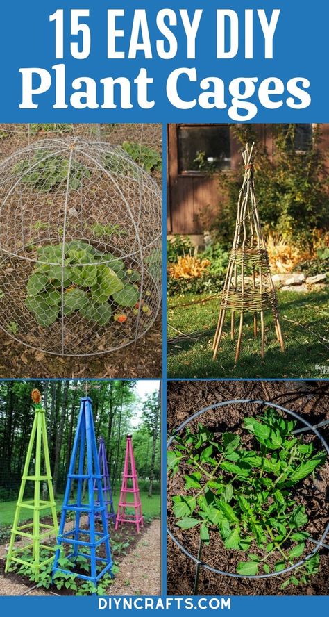 Keep your plants standing tall with this great list of DIY plant stands, plant cages, and plant supports! Make your own with easy to follow tutorials! #gardening #plants #homemade #woodworking #PlantStands #PlantCages #PlantSupports #Garden #GardenSupplies Garden Supports Diy, Plant Cages Diy, Garden Cages, Diy Plant Cage, Diy Garden Cage, Garden Cage, Garden Support Structures, Diy Plant Support Ideas, Diy Plant Supports