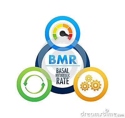 Basal Metabolic Rate, Body Energy, Business Photos, Vector Stock, Energy Level, Background Design, Graphic Illustration, Food Animals, Stock Illustration