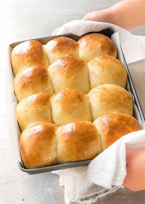 No Knead Dinner Rolls, Dinner Roll Recipe, Roadhouse Rolls, Quick Rolls, Fluffy Dinner Rolls, Dinner Roll, Apple Fritter, Homemade Rolls, Recipetin Eats