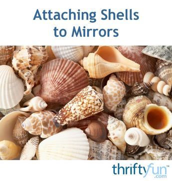 Choosing the right glue or adhesive is the most important part of successfully attaching shells to a mirror. This guide contains suggestions for the best way to attach shells to mirrors. Vintage Shell Art, Hollywood Glam Decor, Home Decor Victorian, Ocean Craft, Beachy Crafts, Seashell Display, Home Decor Traditional, Sea Shells Diy, Beach Craft