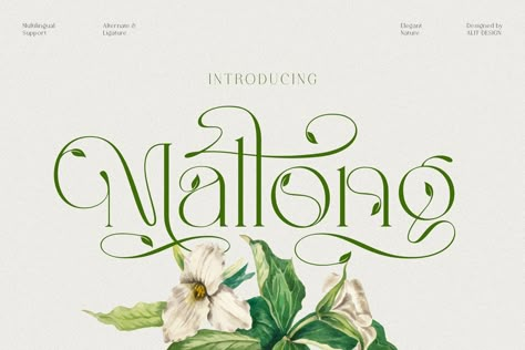 Typographie Logo, Nature Font, Floral Font, Design Alphabet, Business Fonts, Elegant Serif Fonts, Groovy Font, Decorative Fonts, Font Ideas