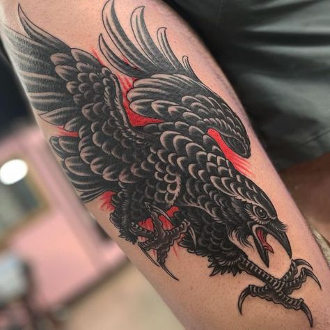 Dracula Parrot Tattoo, Traditional Crow Tattoo Design, Raven American Traditional Tattoo, Traditional Roadrunner Tattoo, American Traditional Raven Tattoo, American Traditional Crow Tattoo, Raven Traditional Tattoo, American Traditional Crow, Traditional Calf Tattoo