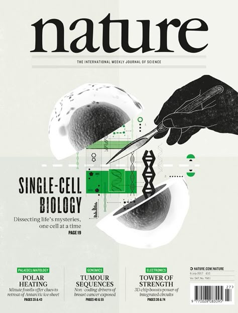 Nature Magazine Cover, Magazine Cover Illustration, Scientific Magazine, Scientific Poster Design, Biology Poster, Nature Magazine, Magazine Cover Ideas, Scientific Poster, Science Design