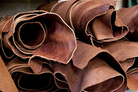 natural leather hide. Tanning Hides, How To Tan, Tanning Skin Care, Raw Leather, Leather Industry, Leather Workshop, Car Upholstery, Cow Skin, Leather Hide