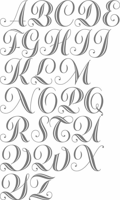 Pinterest Not Of This World Logo, Tattoo Fonts Alphabet Calligraphy Fancy Letters, Drawing Alphabet, Calligraphy Guide, Elegant Curls, Cursive Fonts Alphabet, Alphabet Graffiti, Tre Kunst, Alfabet Font