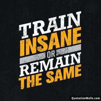 Consistency Quotes, Transformation Quotes, Train Insane Or Remain The Same, Life Challenge, Motivational Quotes Wallpaper, Best Ab Workout, Gym Quote, Health Fitness Motivation, Fitness Transformation