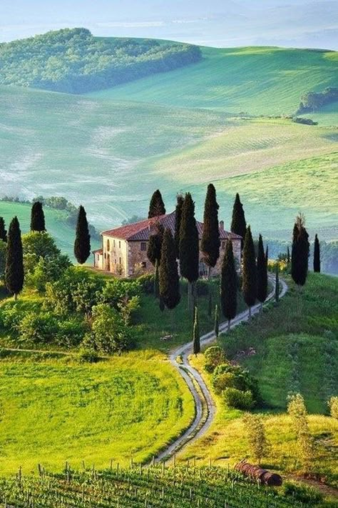 Tuscany Wedding Theme, Tuscany Landscape, Tuscany Travel, Italy Pictures, Italy Landscape, Toscana Italia, Places In Italy, 수채화 그림, Italy Photo