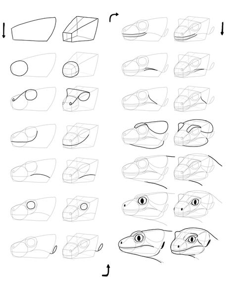 SketchBook Original: How to Draw Lizards – Monika Zagrobelna Reptile Drawing Reference, How To Draw Reptiles, Reptile Head Reference, How To Draw Lizard, How To Draw A Lizard, Lizard Head Drawing Reference, Leopard Gecko Drawing, Draw Lizard, Lizard Head Drawing