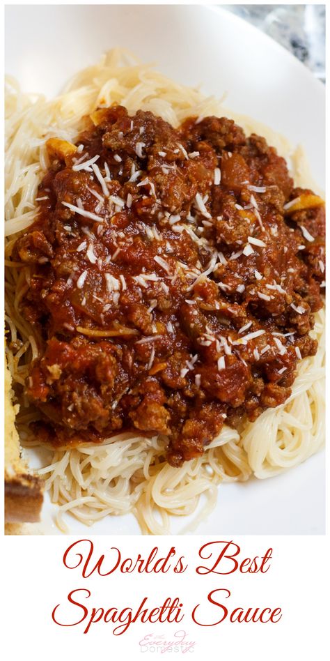 The Best Spaghetti Sauce, Best Spaghetti Sauce, Sauce Spaghetti, Best Spaghetti, Spaghetti Sauce Recipe, Homemade Spaghetti Sauce, Easy Spaghetti, Homemade Spaghetti, Hot Italian Sausage