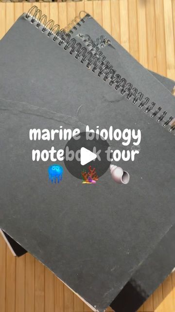 Marine Biology Notebook, Fish Diagram, Biology Notebook, Biology Diagrams, Octopus Ocean, School Book Covers, Shark Diving, Ocean Photos, My Memory