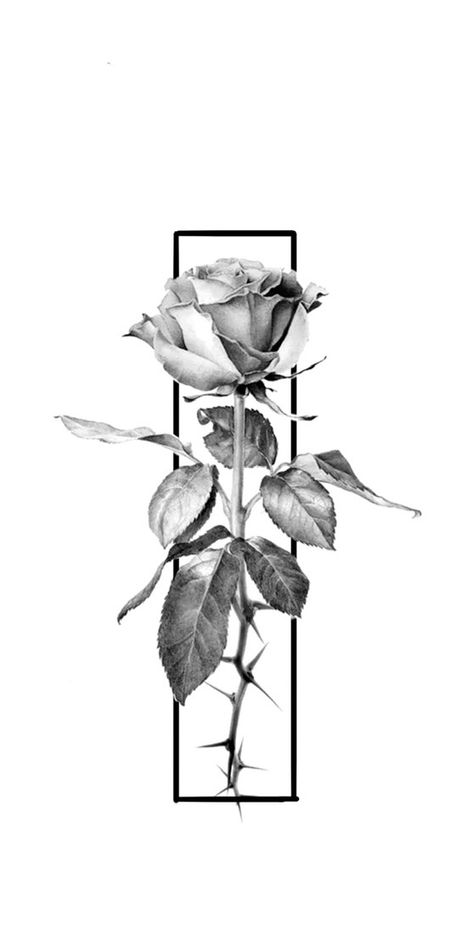 Rose Tattoo drawing Tattoo Design Drawings Forearm, Rose In A Box Tattoo, Rose Tattoo Men Leg, Rose Tattoo Men Design, Modern Rose Tattoo Design, Man Forearm Tattoo Ideas, Leg Rose Tattoo, Rose In Square Tattoo, Fine Line Rose Tattoo Men