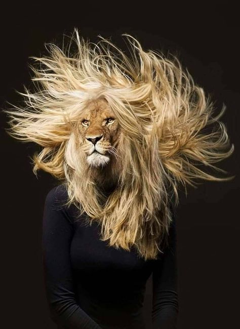 Lion Hair, Lion Photography, Surreal Portrait, Afrikaanse Kunst, Animal Portraits Art, Wild Beauty, Wow Art, Arte Animal, Big Cats