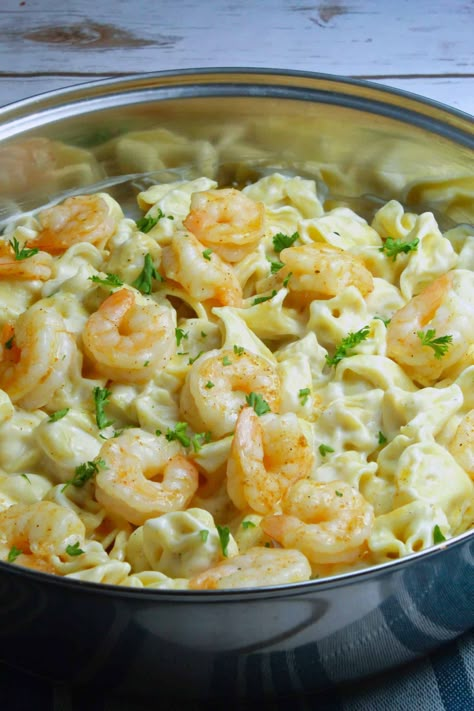 tortellini alfredo Shrimp Tortellini Alfredo, Basil Alfredo Sauce, Lobster Alfredo, Shrimp Tortellini, Pasta And Shrimp, Cheesy Shrimp, Tortellini Alfredo, Skillet Shrimp, Tortellini Recipes