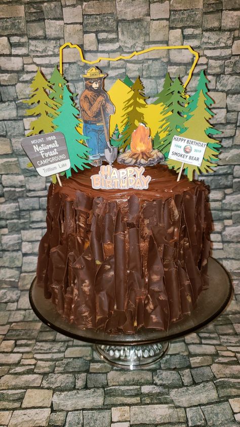 Smokey The Bear Cake, Smokey Bear Birthday Party, Smokey The Bear Party, Smokey The Bear Birthday Party, Camping Birthday Party Decorations, Nicki Baby, Smokey The Bear, Pumpkin Contest, Smokey Bear