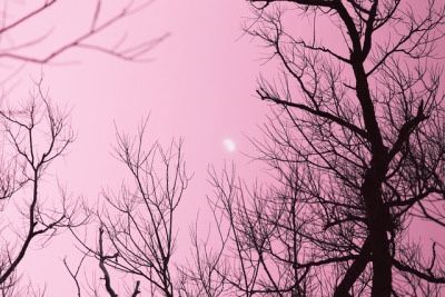 Pink Goth Aesthetic Icon, Pastel Creepy Aesthetic, Pastel Goth Aesthetic Pictures, Pink Halloween Header, Pastel Goth Header, Spooky Pink Aesthetic, Pastel Emo Aesthetic, Pink Halloween Widget, Pastel Pink And Black Aesthetic