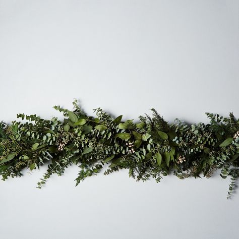 Evergreen Garland, Dried Wreath, Holiday Garland, Classic Christmas Tree, Eucalyptus Garland, Seeded Eucalyptus, Holiday Garlands, Wreaths And Garlands, Garland Decor