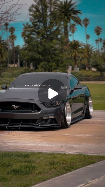 DannyBoyy on Instagram: "Fitment ☑️  ___________________________________________________________________________________#fordmustang #mustanguniverse #americanmuscle #caroftheday #s550 #s550only #s550mustang #fordperformance #fordmustang #lowlife #lowlifestyle #slammedstangs #mustangsaddiction #mustangfans #mustangs #fordmustang #carsandcoffee #supreme_stangs #v8hub #baggedlife" S550 Mustang, Mustang, Ford, On Instagram, Instagram