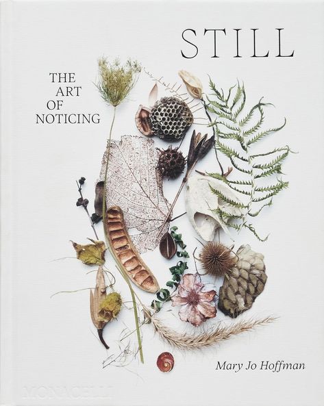 Amazon.com: STILL: The Art of Noticing: 9781580936330: Hoffman, Mary Jo: Books United States Botanic Garden, Mary Jo Hoffman, The Art Of Noticing, Ideas For Illustration, Art Of Noticing, Nail Designs Winter, Fashion Island, Illustration Projects, Retro Videos