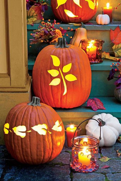 Get your carving tools out, because we have lots of easy, festive pumpkin carving ideas—from spooky to jolly jack-o'-lanterns—to make your home Halloween-ready. Visit the link for inspiration! #southernliving #pumpkins #pumpkincarving #halloweendecor #pumpkindecor #falldecor Leaf Templates, No Carve Pumpkin Decorating, Easy Pumpkin Carving, Pumpkin Display, Pumpkin Carving Ideas, Beautiful Pumpkins, Creative Pumpkins, Halloween Pumpkins Carvings, Carving Ideas