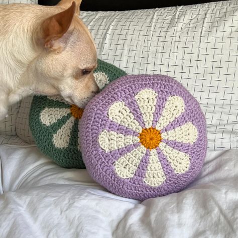 he loves the flower pillows ☺️🌼 #crochetpillow #crochetdecor #crochetcushion Crochet Flower Pillow, Flower Pillows, Crochet Outfits, Crochet Inspo, Crochet Cushions, Crochet Pillow, Flower Pillow, Crochet Flower, May 17