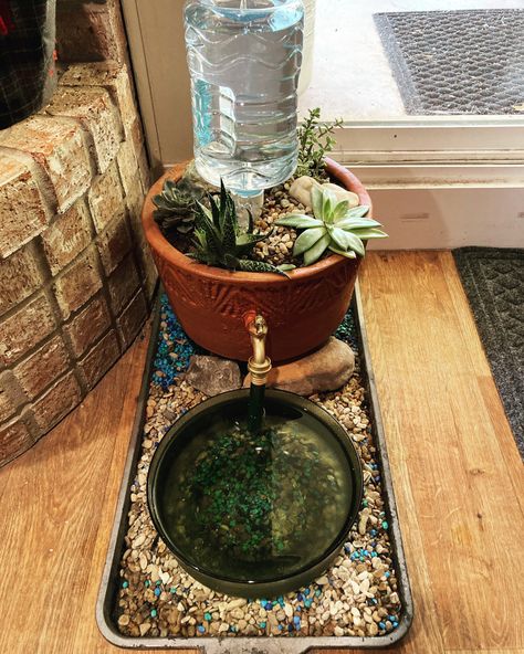 Outdoor Cat Fountain, Dog Water Bowl Ideas Indoor, Flower Pot Dog Water Bowl, Cat Grass Water Bowl, Dog Water Bowl With Plants, Indoor Dog Water Station, Dog And Cat Feeding Station Ideas, Outdoor Water Bowls For Dogs, Diy Cat Water Fountain With Plants