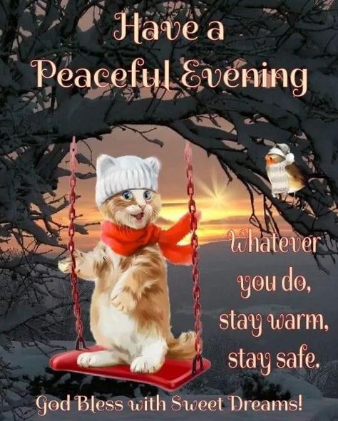 Stay Warm Quotes, Warm Quotes, Good Morning Friday, Beautiful Morning Quotes, Birthday In Heaven, Beautiful Good Night Images, Good Night Friends, Good Night Blessings, Friday Evening