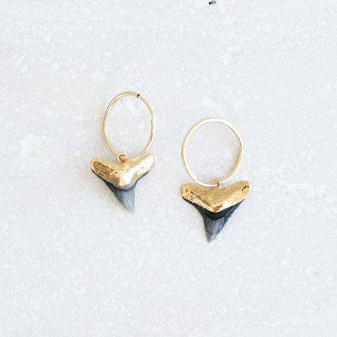 Shark Tooth Jewelry, Wizard Ideas, Shark Tooth Earrings, Shark Teeth Jewelry, Tooth Earrings, Tooth Jewelry, Tooth Charm, Ocean Earrings, Black Shark