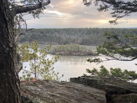 Cliff Trail (Harpswell, ME) – Hiking in Maine Cliff In Forest, Forest Cliff, Conservation Corps, Birch Bark, October 1, Fairy House, Enchanted Forest, The Trail, May 1