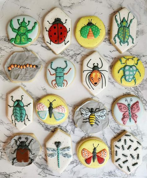 Bug Cookies Decorated, Bug Themed Food, Bird Sugar Cookies, Bugs Cake, Bug Cookies, Bug Cupcakes, Bug Cake, Bebe Shower, Bug Party