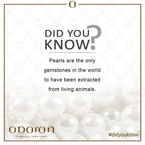 #didyouknow#facts#pearls#abarantimelessjewellery #abaranbangalore Did You Know Jewelry Facts, Fun Facts About Jewelry, Jewellery Knowledge, Jewel Quotes, Jewelry Promo, Prayer Journal Template, Jewellery Styling, Beginner Makeup Kit, Jewelry Facts