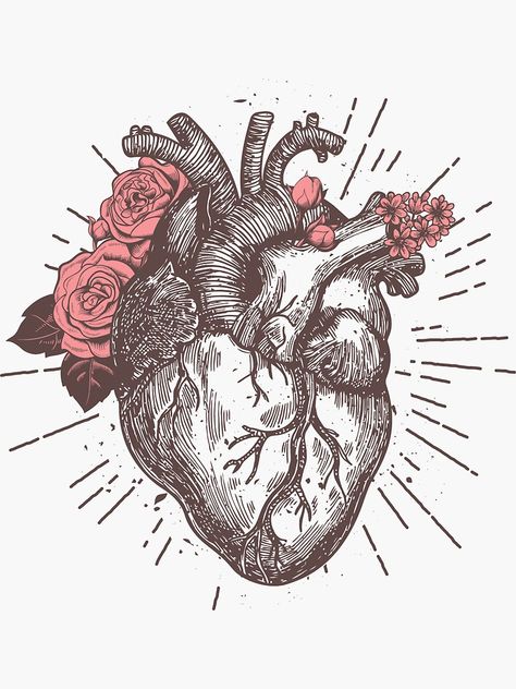 Anatomical Heart, Human Heart, Anatomy, Roses, Human, Flowers, Floral, Art