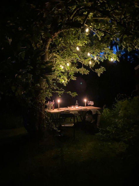 Garden Date Aesthetic, Garden At Night Aesthetic, Garden Night Aesthetic, Gardens At Night, Gilroy Gardens, Garden Date, Big Cabin, Descanso Gardens, Brookgreen Gardens