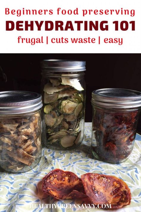 Dehydrating food is easy, economical, and lets you enjoy the bounties of your summer garden all year round! Never tried dehydrating food before? Here’s what you need to know to get started. #dehydratingfood #foodpreservation #greenlivingtips #dehydratefood #dryingfood #preparedness #prepper #camping #hiking #snacks #dehydrator Best Food Dehydrator, Herbs For Sleep, Homemade Fruit Leather, Growing Rhubarb, Food Dehydrator, Perennial Vegetables, Dehydrated Fruit, Freeze Drying Food, Dehydrated Food