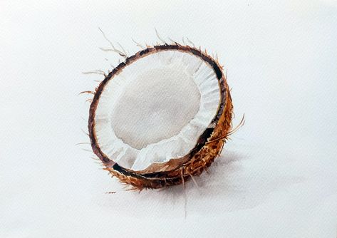 Is it REAL or NOT | Coconut painting | Watercolor painting | Watercolor tutorial step by step Coconut Painting Ideas, Watercolor Coconut, Watercolor Tutorial Step By Step, Coconut Painting, Fruits Art, Watercolor Tutorial, Art Watercolour, Paintings Abstract, Watercolor Paintings Abstract