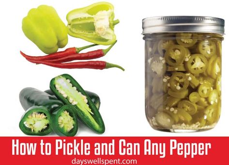 Pickled Sweet Peppers, Pickled Pepper Recipe, Canning Peppers, Pickled Hot Peppers, Hot Banana Peppers, Cubanelle Pepper, Pickled Peppers, Cooking Measurements, Pickle Butter