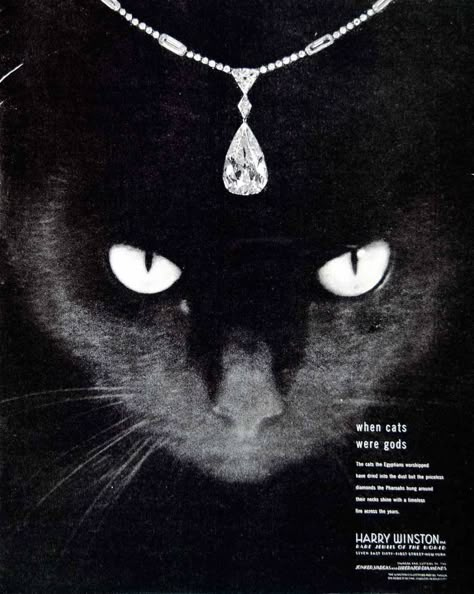 1948 Ad Harry Winston Black Cat Pendant Teardrop Diamond Jewelry Necklace Eyes Vintage Harry Winston Jewelry, Vintage Jewelry Ads, Cat With Necklace, Diamonds Aesthetic, Diamond Poster, Cats Jewelry, Jewelry Poster, Harry Winston Jewelry, Logos Retro