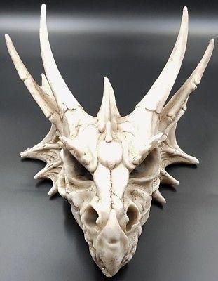 Rare as hen's teeth a dragon skull Dragon Skull, Head Skull, Figure Statue, White Dragon, Dragon Head, Table Top Display, Wall Hanger, Table Top, Statue