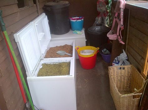 Turn old fridge into grain box Feed Storage Ideas, Small Feed Room Ideas, Feed Room Ideas, Chicken Feed Storage, Horse Feed Storage, Horse Feed Room, Feed Room, Small Shed, Barn Remodel