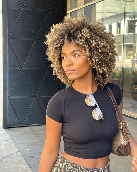 Blond Highlights Natural Hair, Lion Curly Haircut, Curly Short Hair With Highlights, Blond Afro Hair Black Women, Blonde Afro Hair Black Women, Natural Hair Balayage, Blonde Highlights Afro, Blonde Natural Hair Black Women, Blonde Curly Hair Black Women