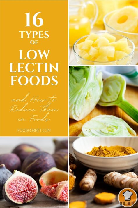 Low Lectin Diet, Lectin Free Soup, Lectin Foods List, Lectins Free Food List, High Lectin Foods To Avoid, Foods With Lectins To Avoid, Low Lectin Food List, High Lectin Food List, Foods Without Lectins