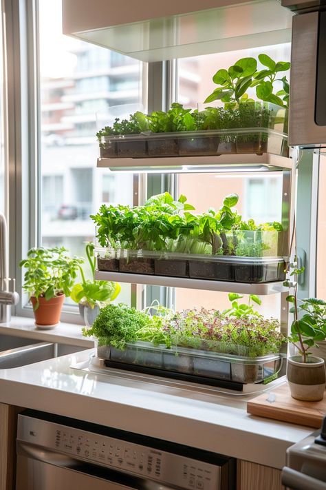 Grow your own fruit, veg and micro greens in a small kitchen garden using these tips. Apartment Patio Garden Veggies, Herbs Pots Ideas, Indoor Kitchen Garden Ideas, Indoor Garden Apartment Small Spaces, Indoor Garden Setup, Indoor Home Garden, Micro Greens Growing Indoors, Mini Kitchen Garden, Indoor Food Garden